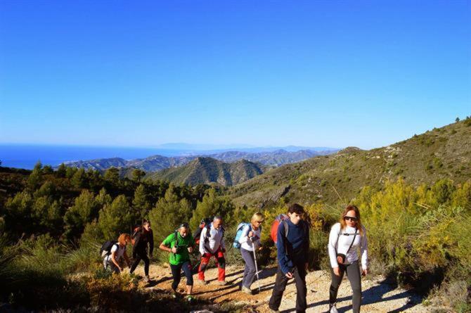 Estudio Platero Nerja Luaran gambar